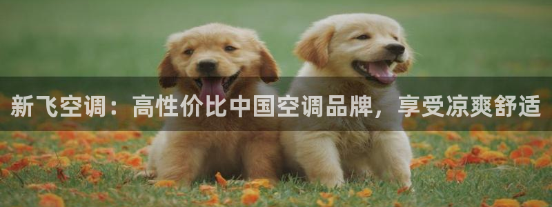环球360官网UG客服电话