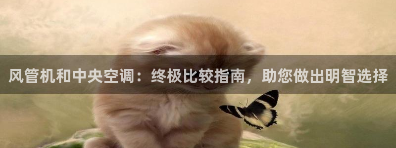 环球360的官网