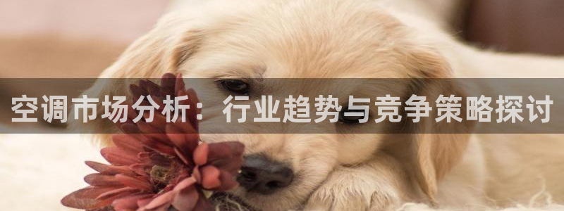 菲律宾环球360官网